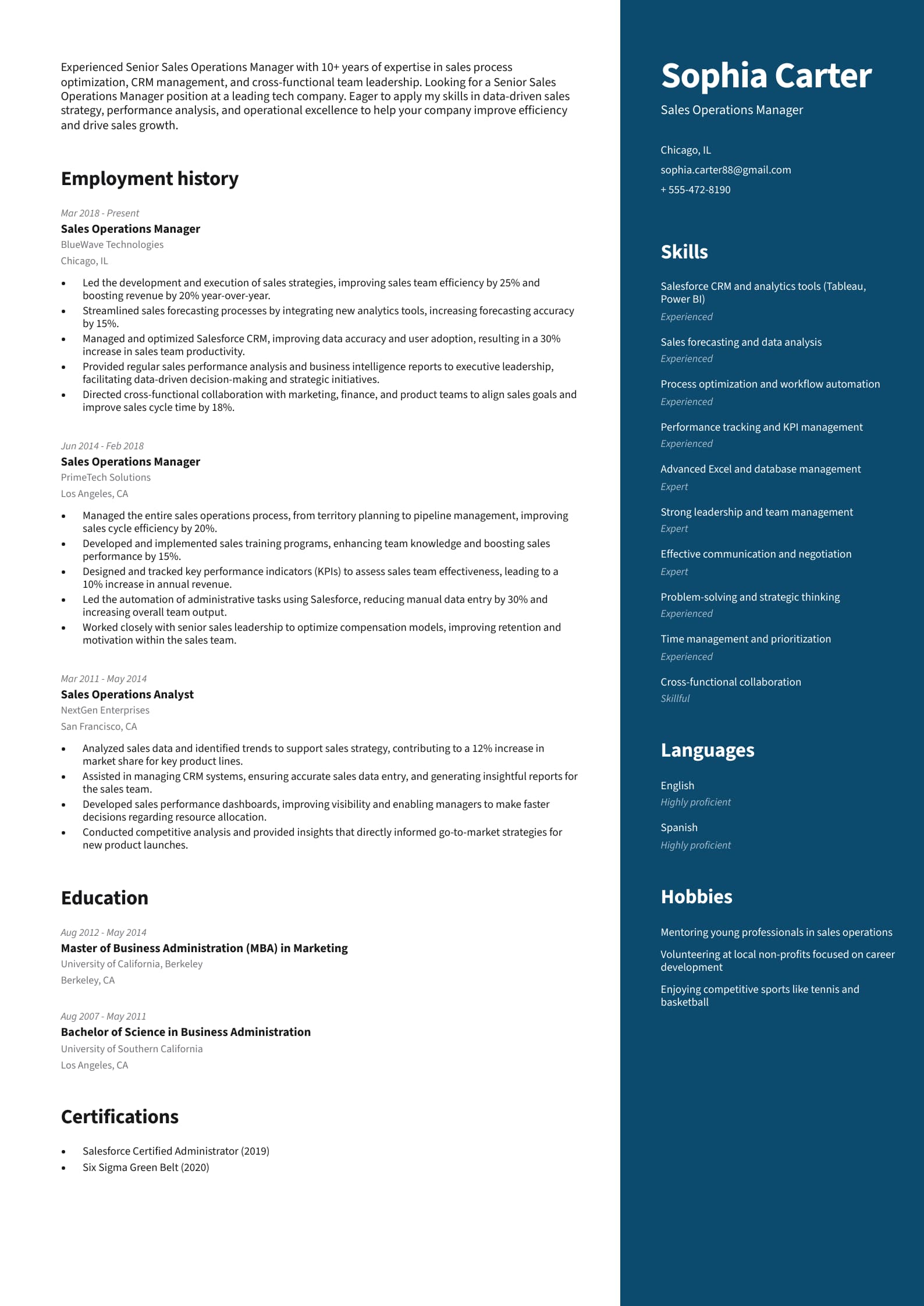 2-Color Resume Example