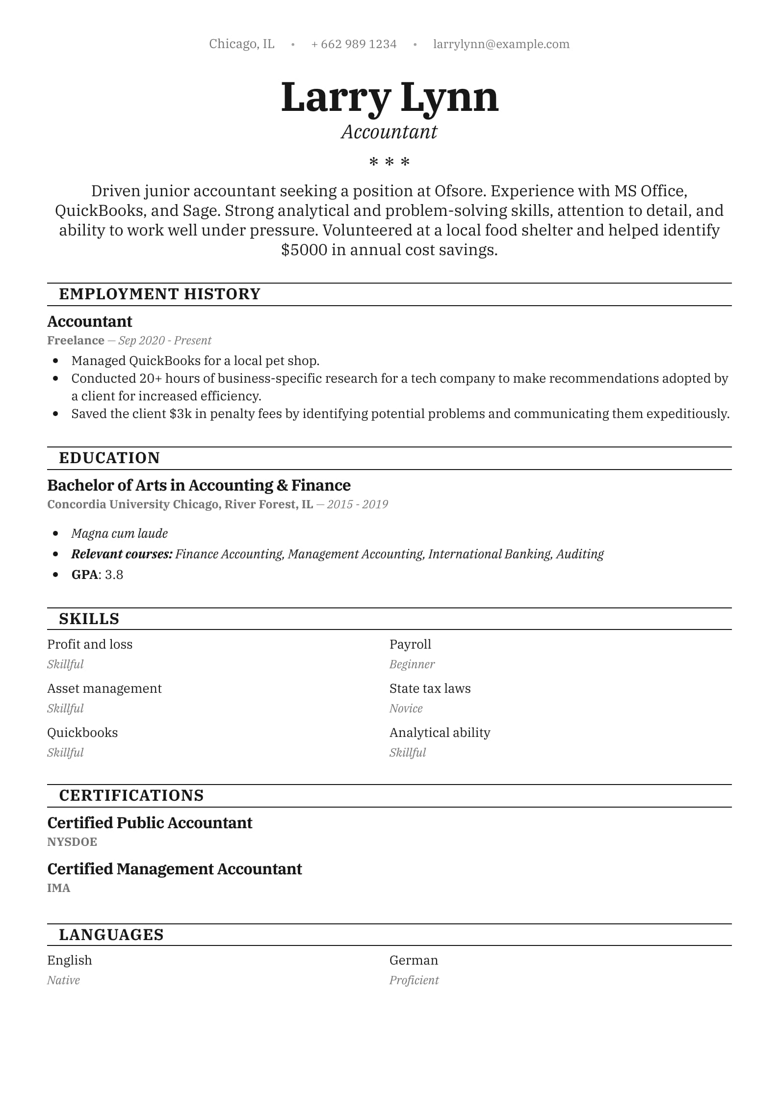 Accountant Resume Example