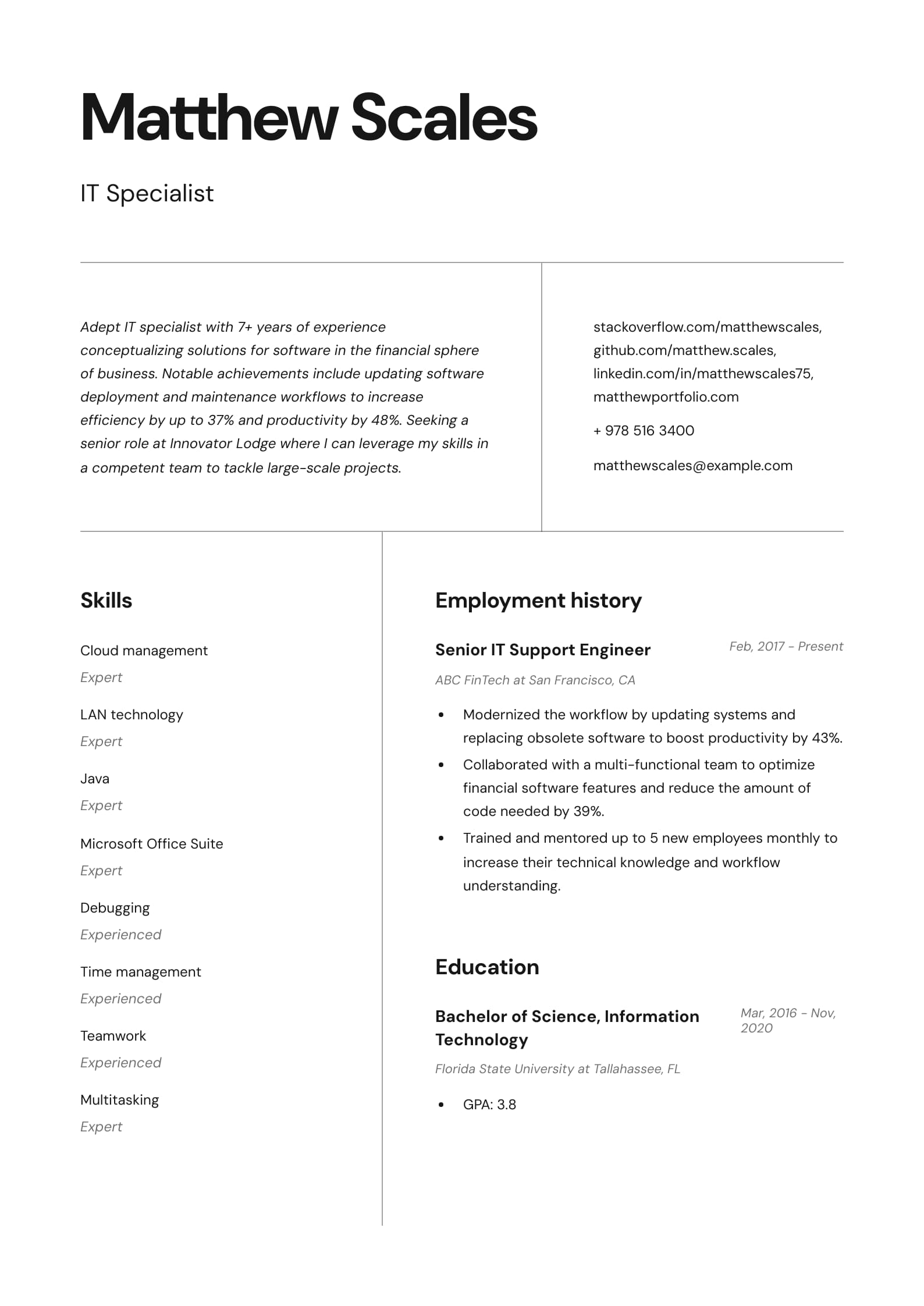 IT Resume Example