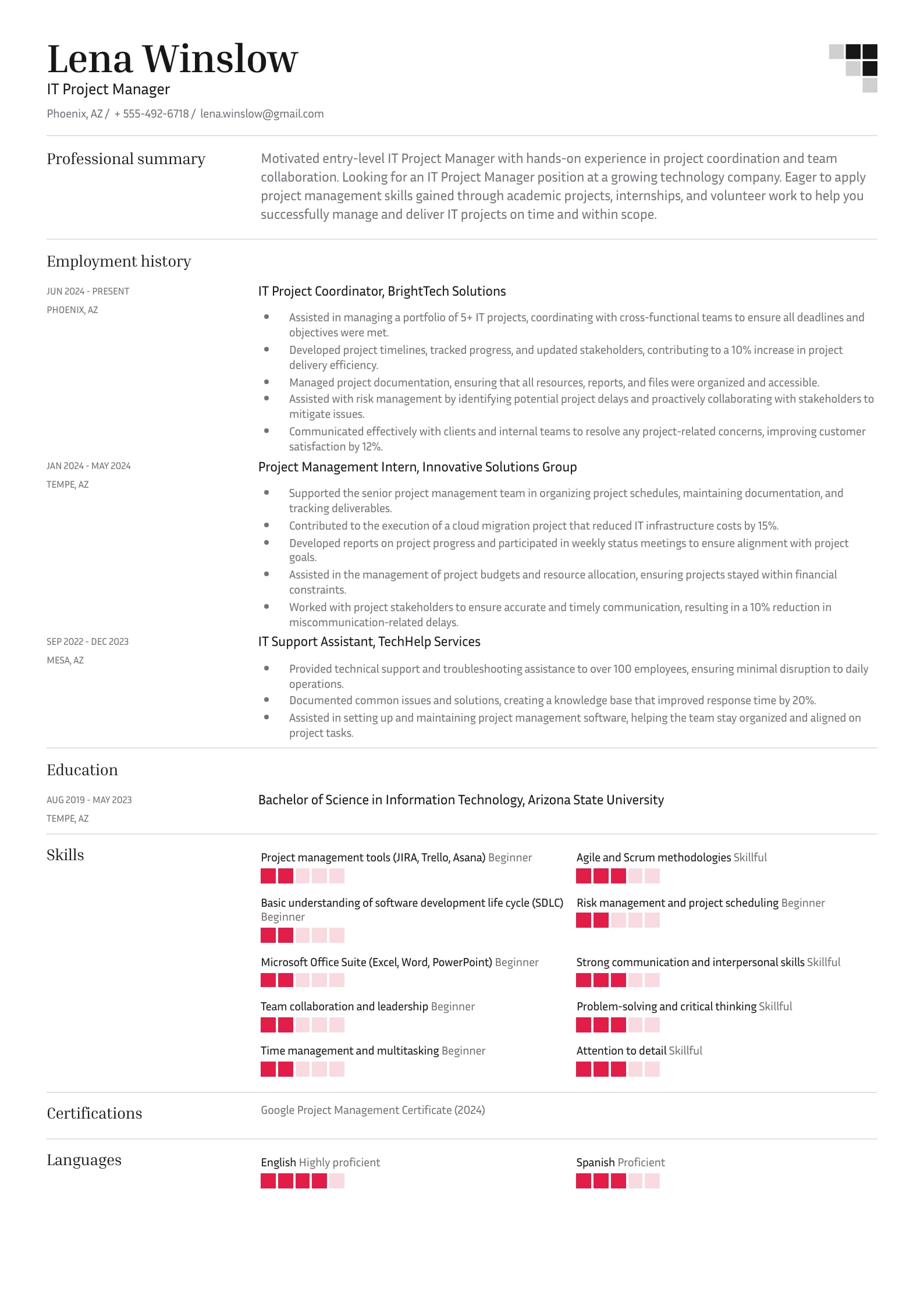 Junior IT Project Manager